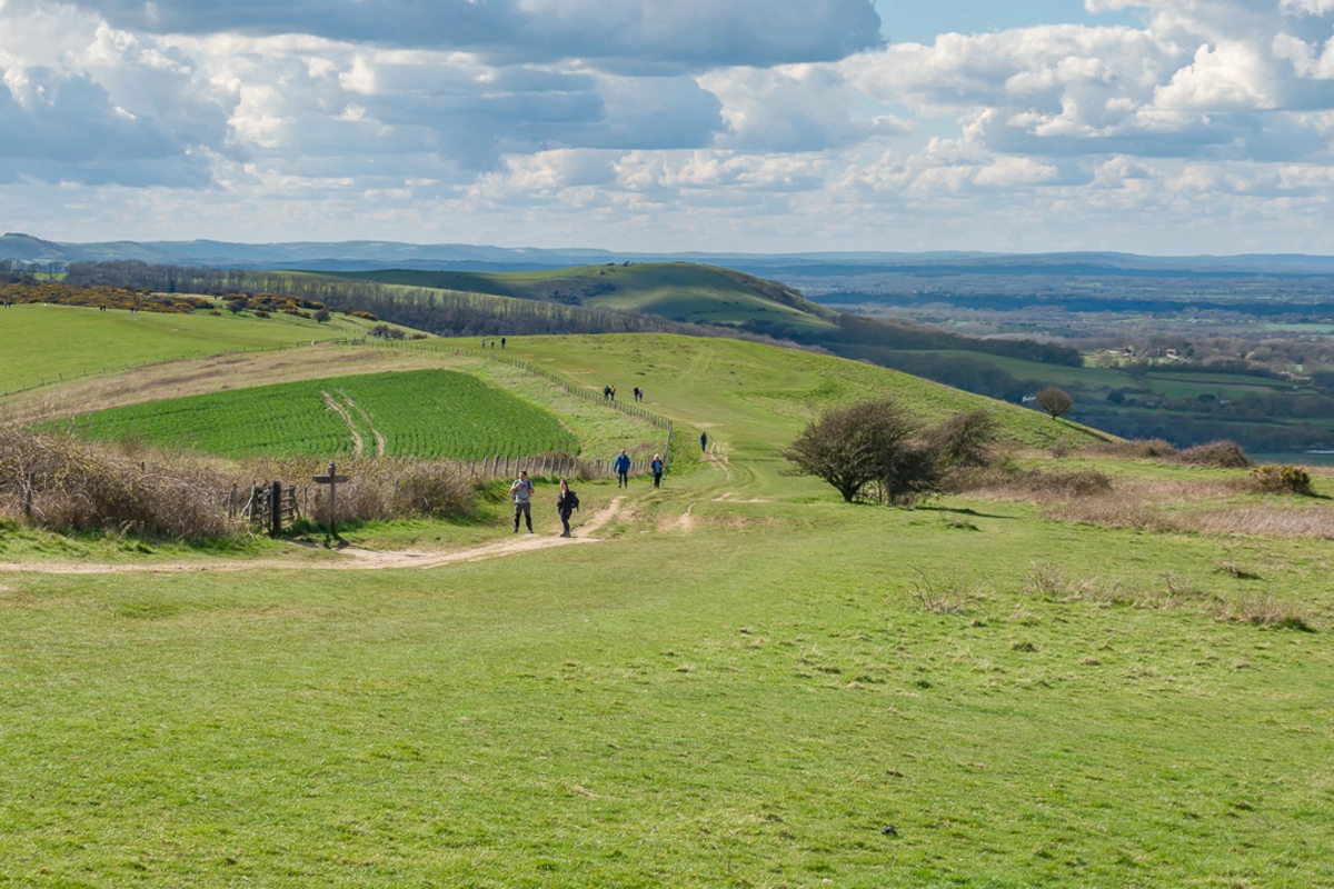 Pyecombe to Alfriston Walk