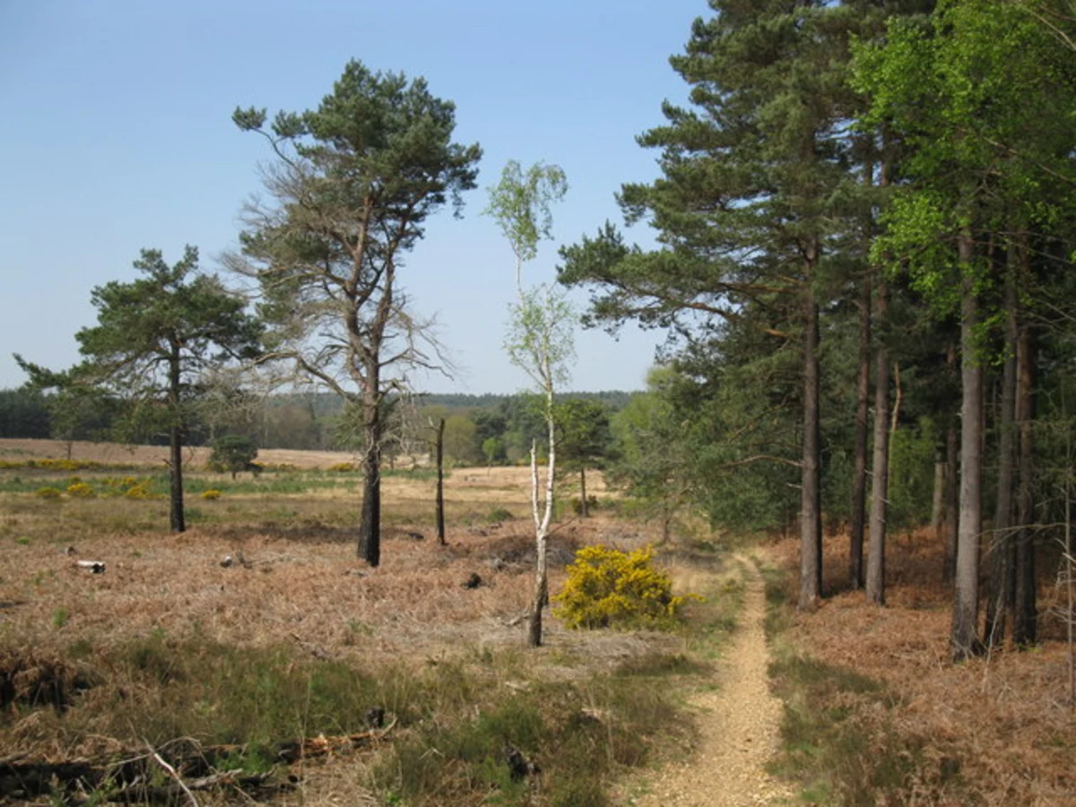 New England Hill via Vicarage Lane