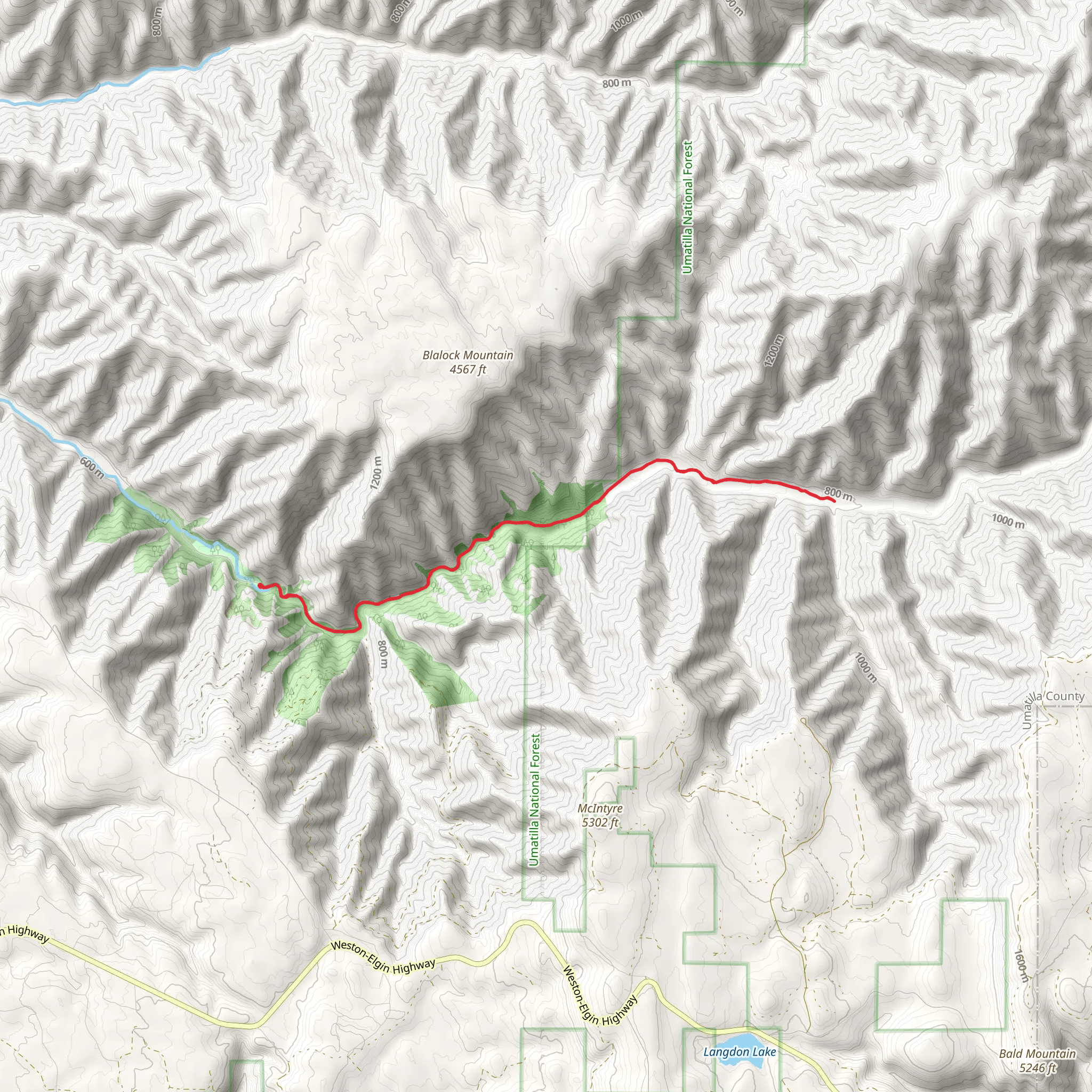 South Fork Walla Walla Trail Out and Back mobile static map