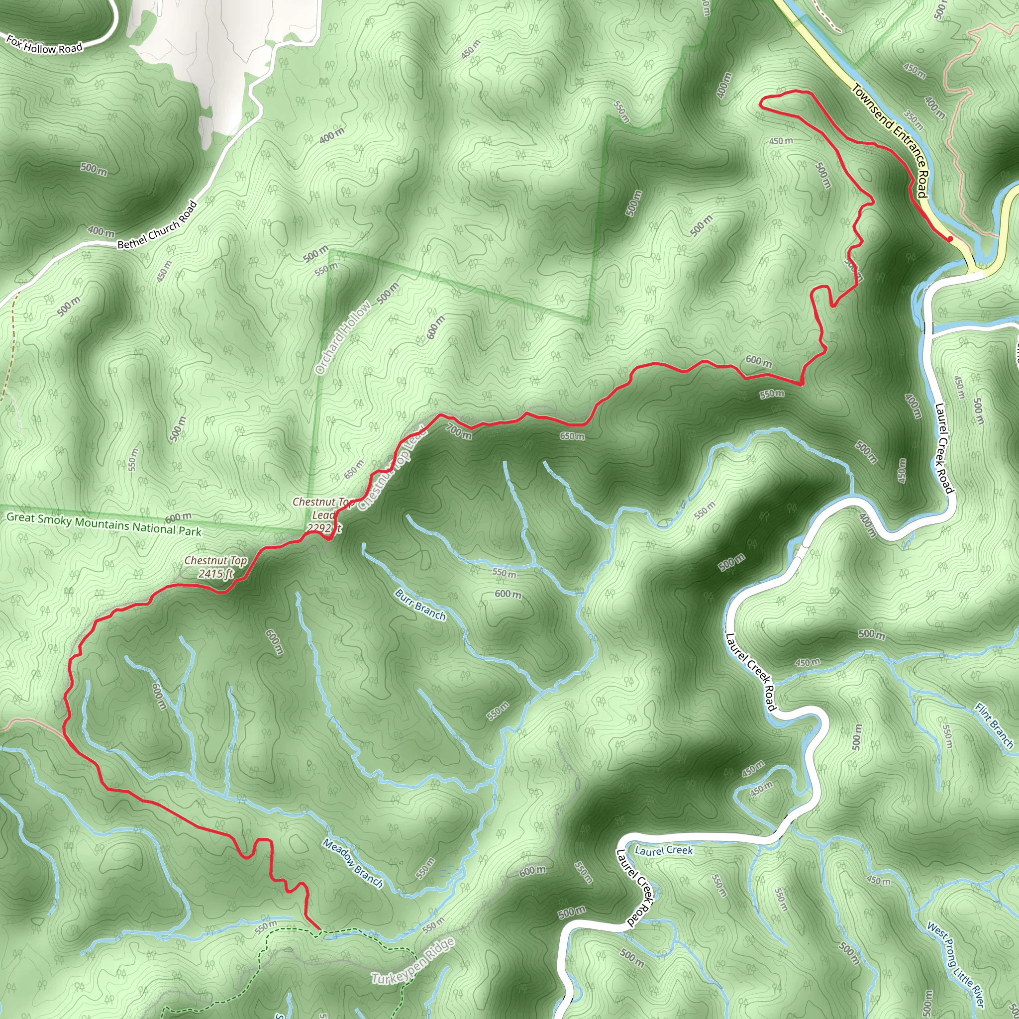 Dosey Gap and Chestnut Top Lead via Chestnut Top Trail mobile static map