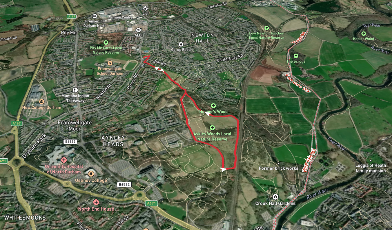 Aykley Wood Nature Reserve