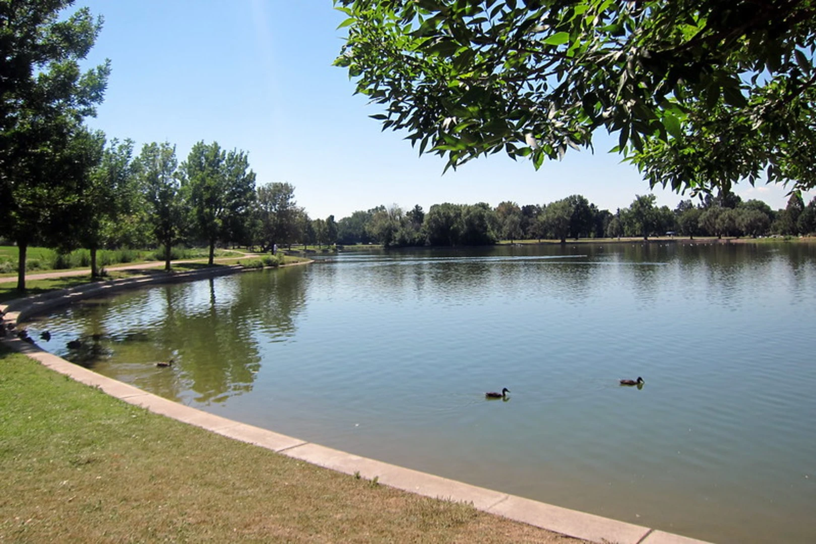 An image depicting the trail Smith Lake and Grasmere Lake Loop - Washington Park and its surrounding area.
