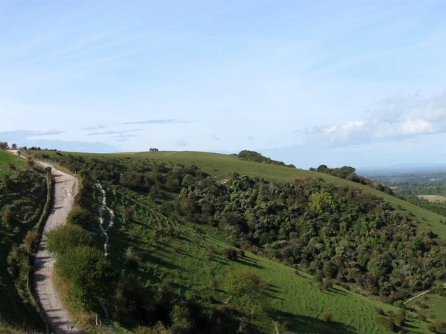 An image depicting the trail Falmer Loop and its surrounding area.