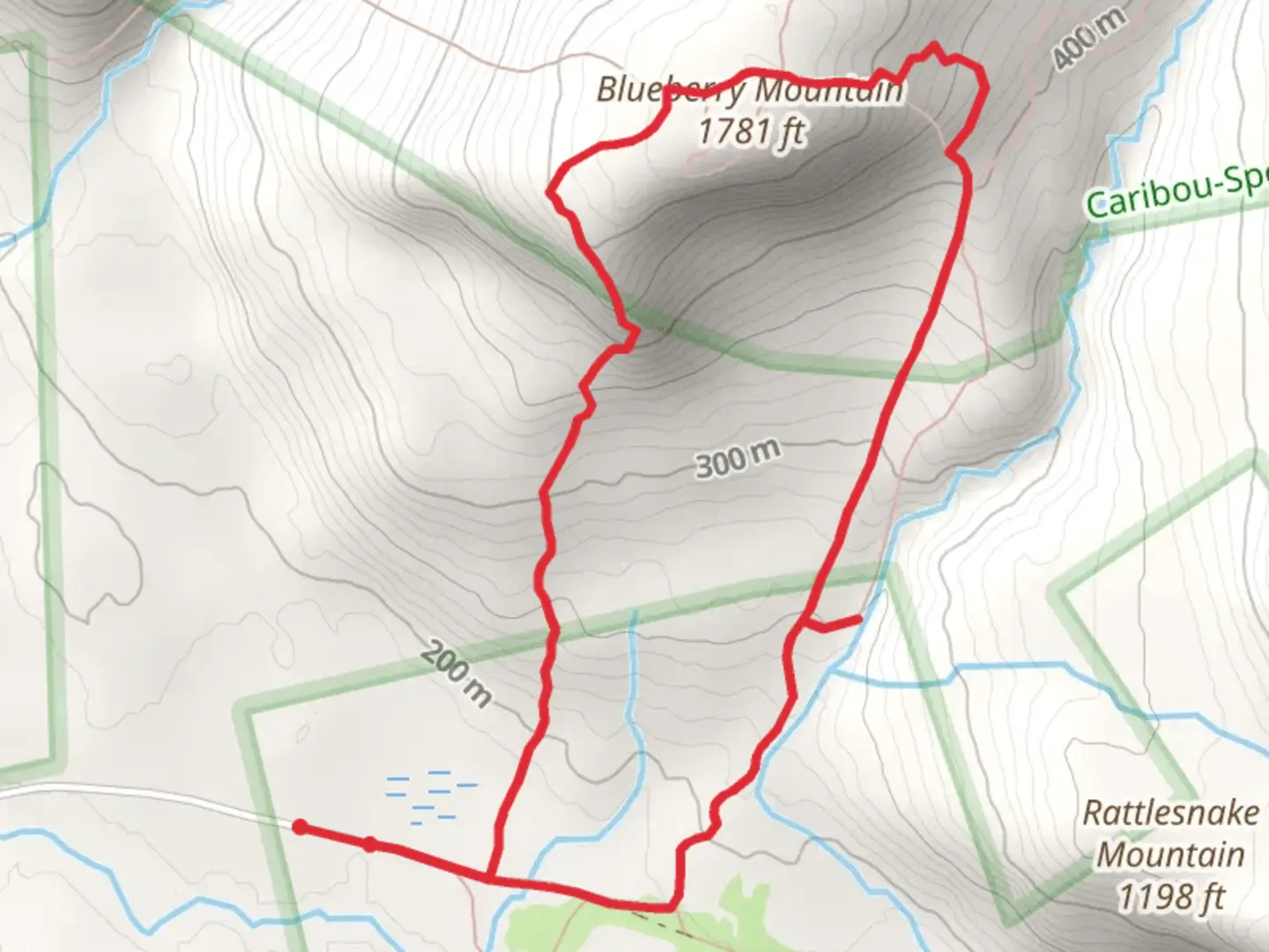 An image depicting the trail Blueberry Ridge and Rattlesnake Brook Loop and its surrounding area.