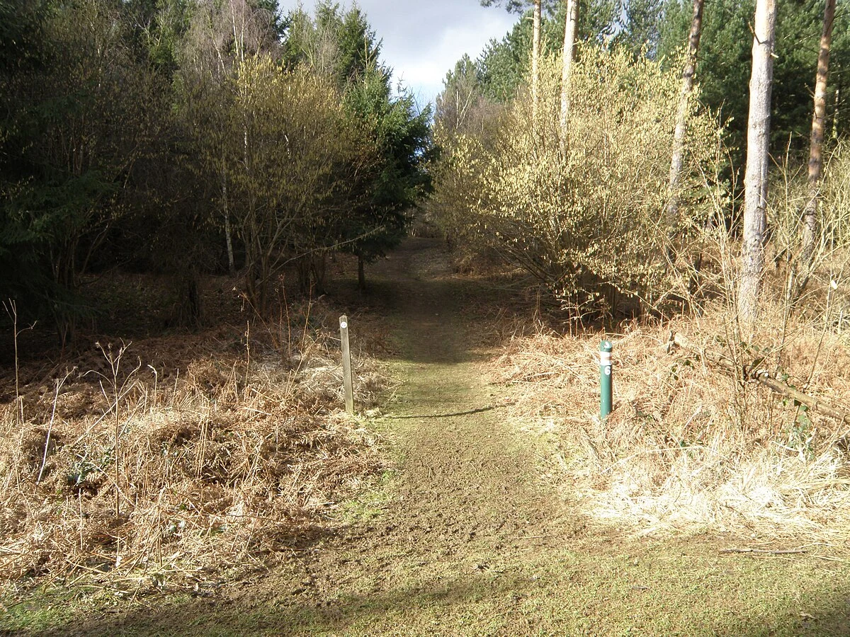 Wakerley Great Wood Loop