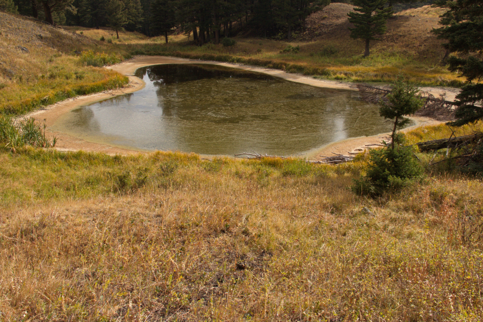 An image depicting the trail Beaver Ponds Trail Loop and its surrounding area.