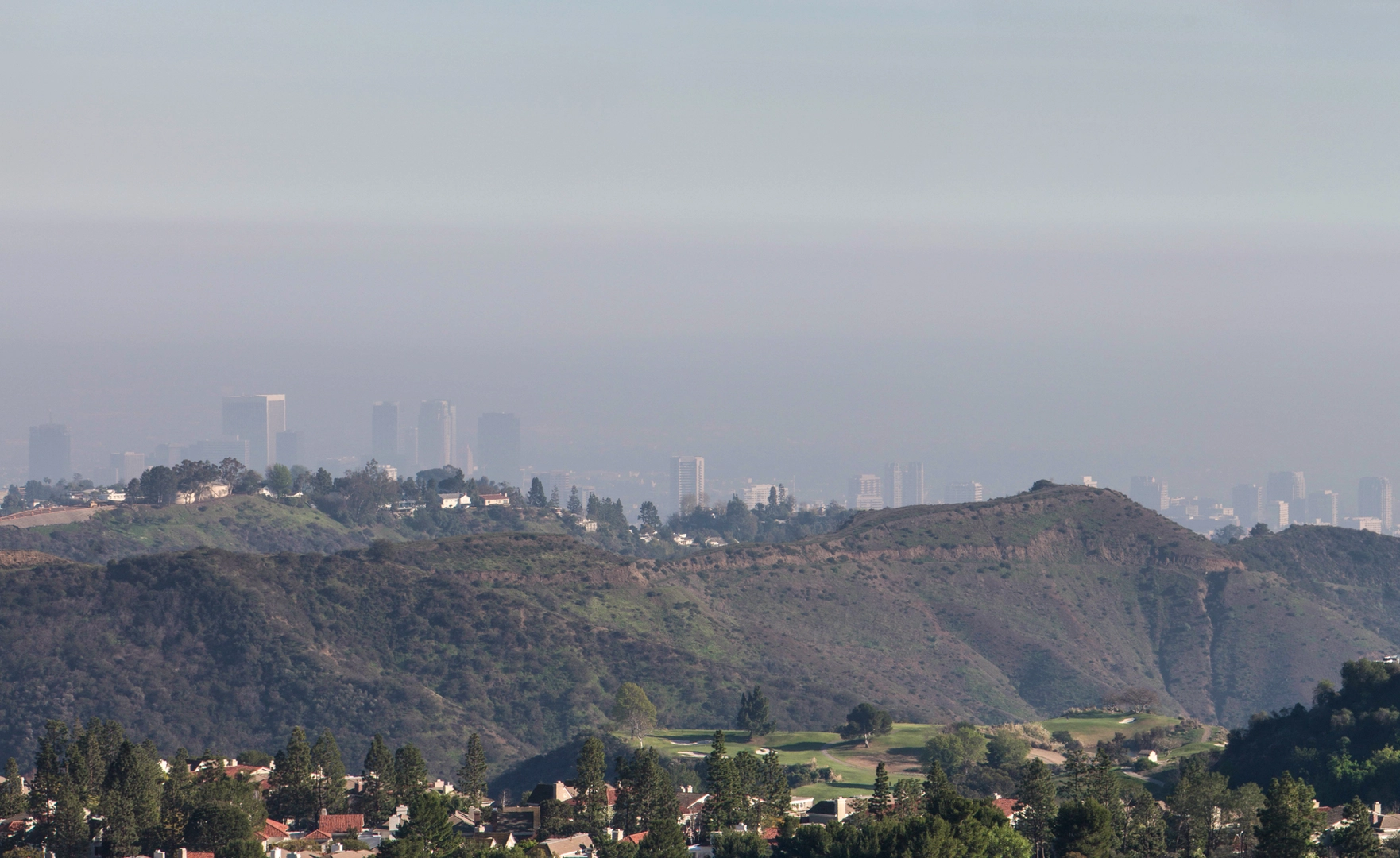 An image depicting the trail Hollyhock, Water and Power Pole Road and Wendeville Fire Road Loop and its surrounding area.