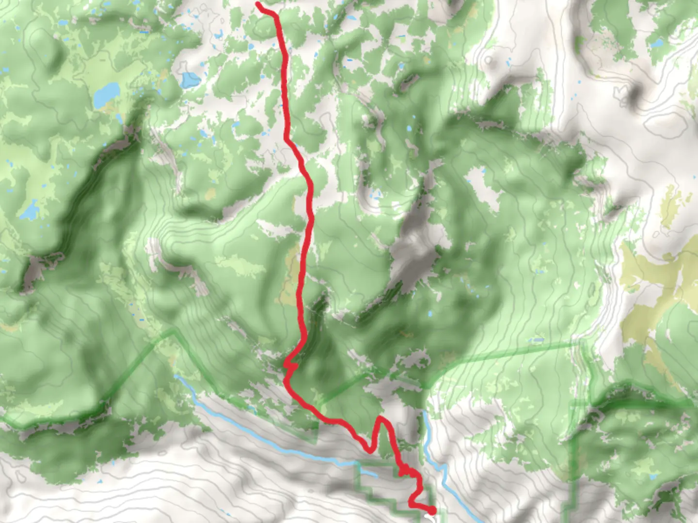 An image depicting the trail Shingle Peak Trail and its surrounding area.