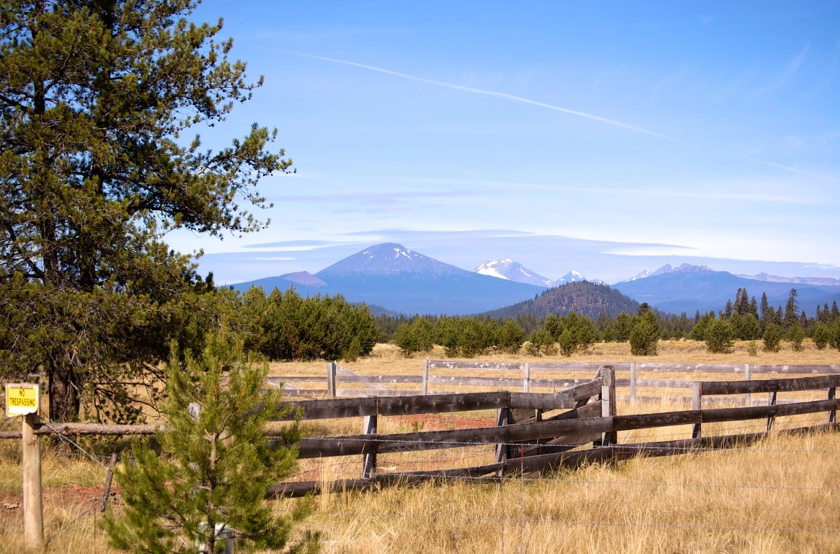 An image depicting the trail Swampy Loop Trail and its surrounding area.
