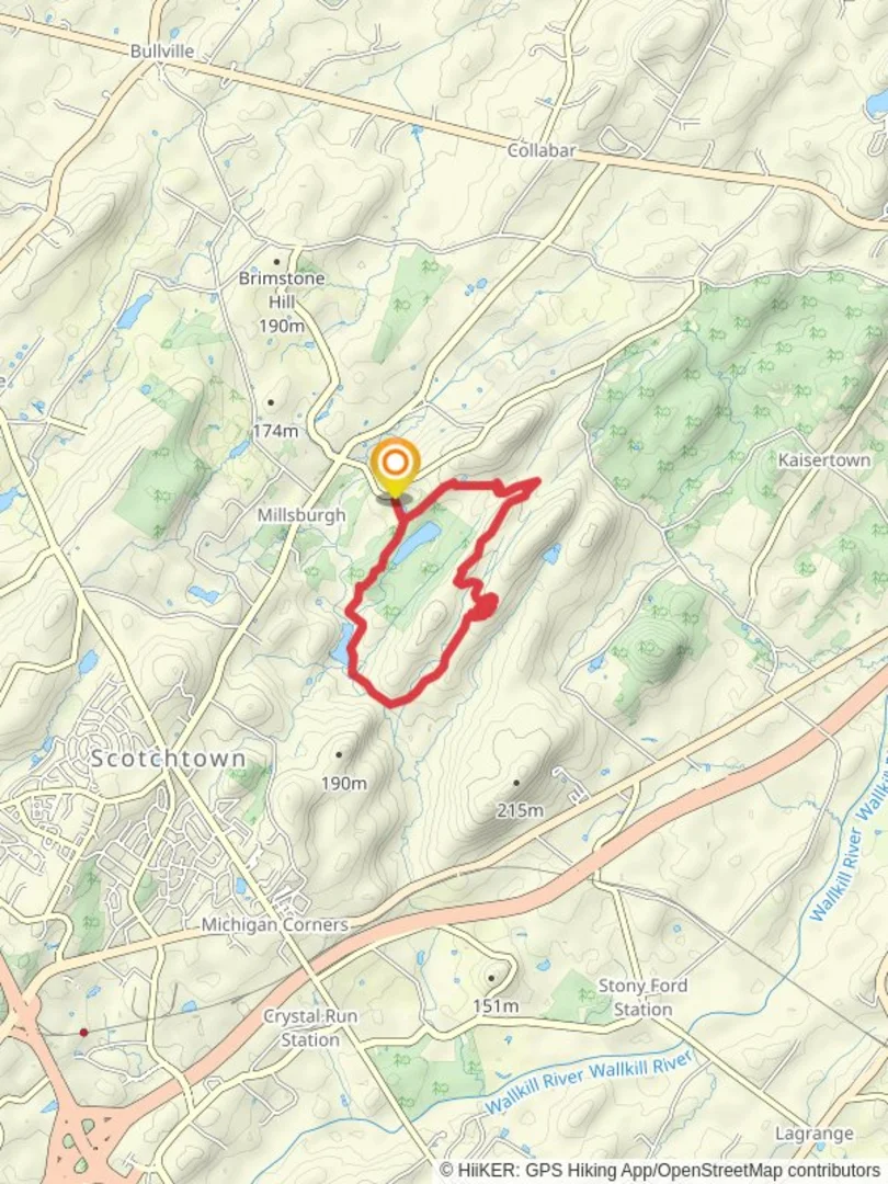 An image depicting the trail Tamms Pond from Tamms Road and its surrounding area.