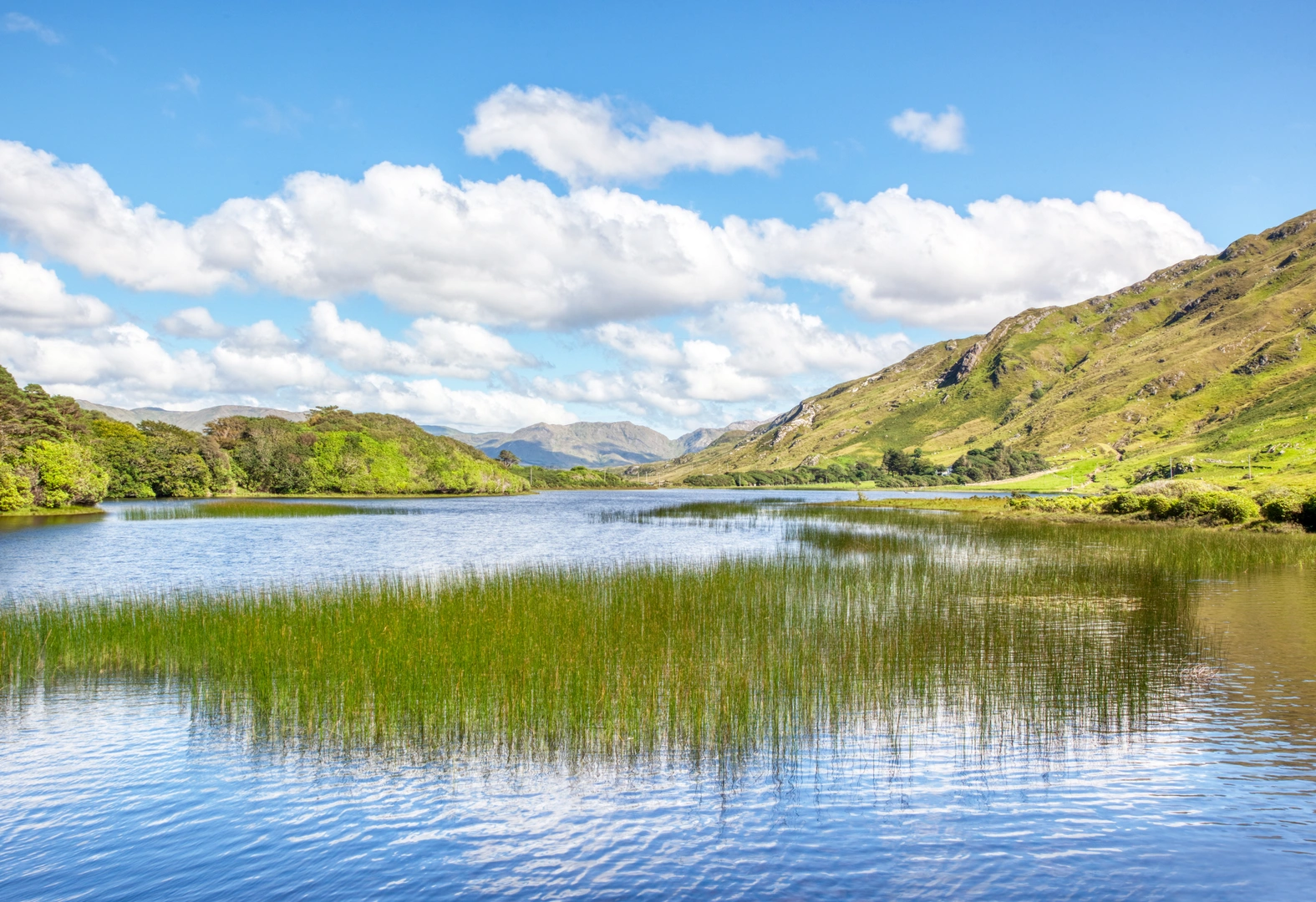 An image depicting the trail Mweelin Loop and its surrounding area.