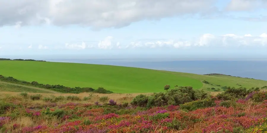 A Castle and a Cross Walk