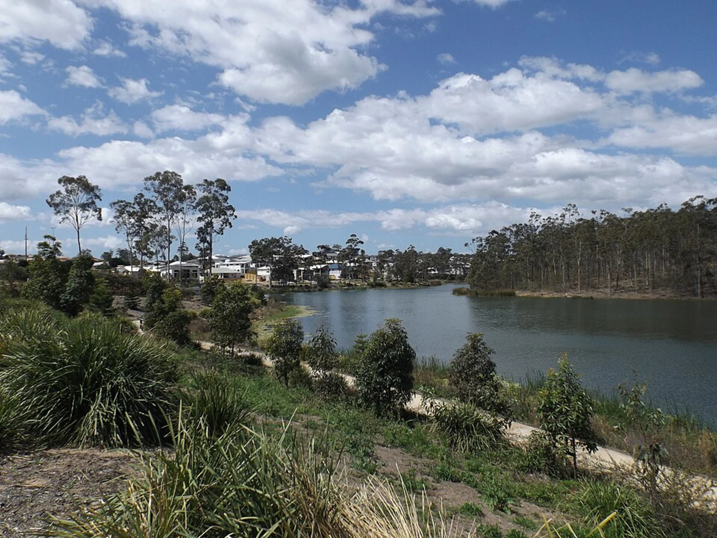 An image depicting the trail Lagoon and Regatta Lake Loop and its surrounding area.