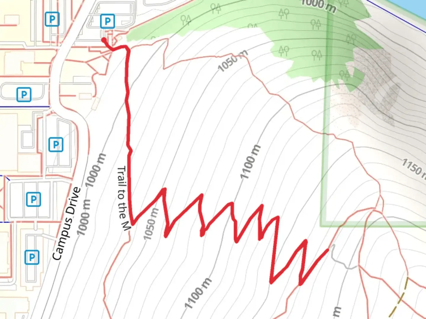 An image depicting the trail Trail to the M and its surrounding area.