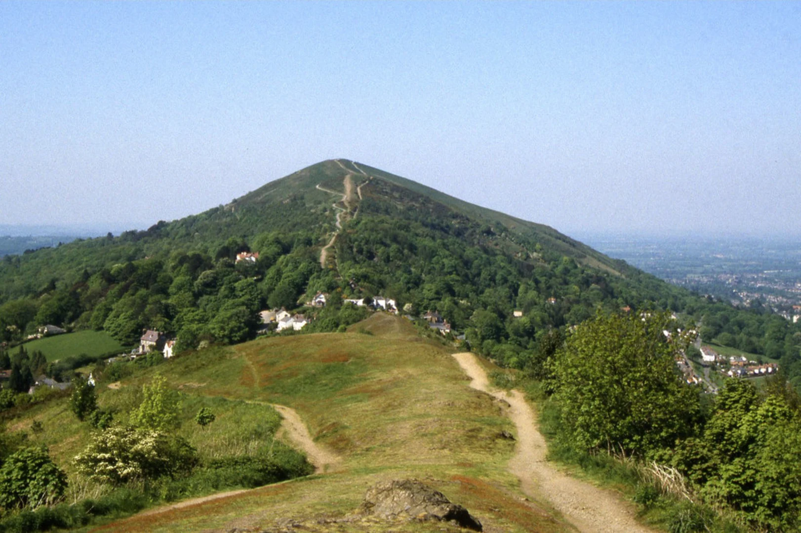 An image depicting the trail Black Hill, Pinnacle Hill and Jubilee Hill Loop and its surrounding area.