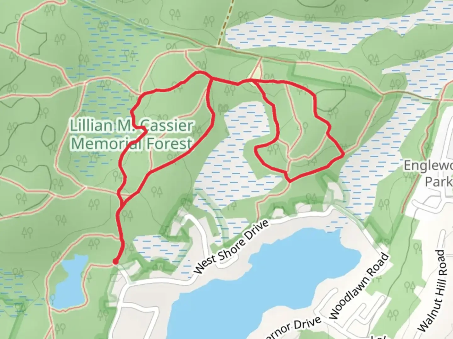 An image depicting the trail Briar Road Connector and Bog Loop Trail and its surrounding area.