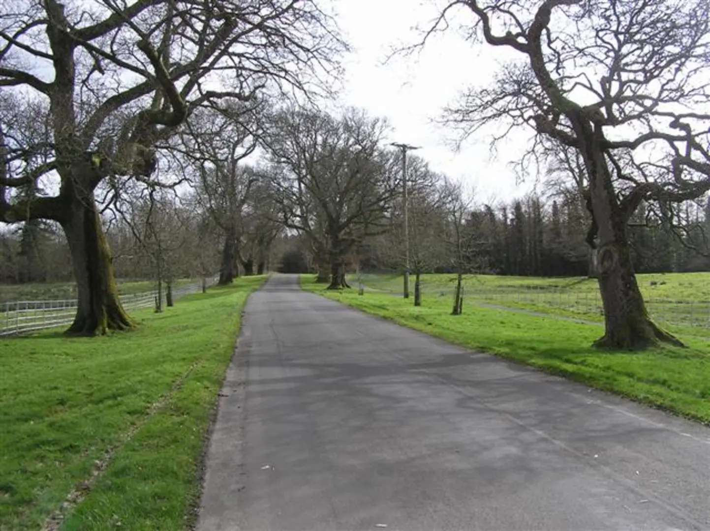 An image depicting the trail Castle Archdale Red Route and its surrounding area.
