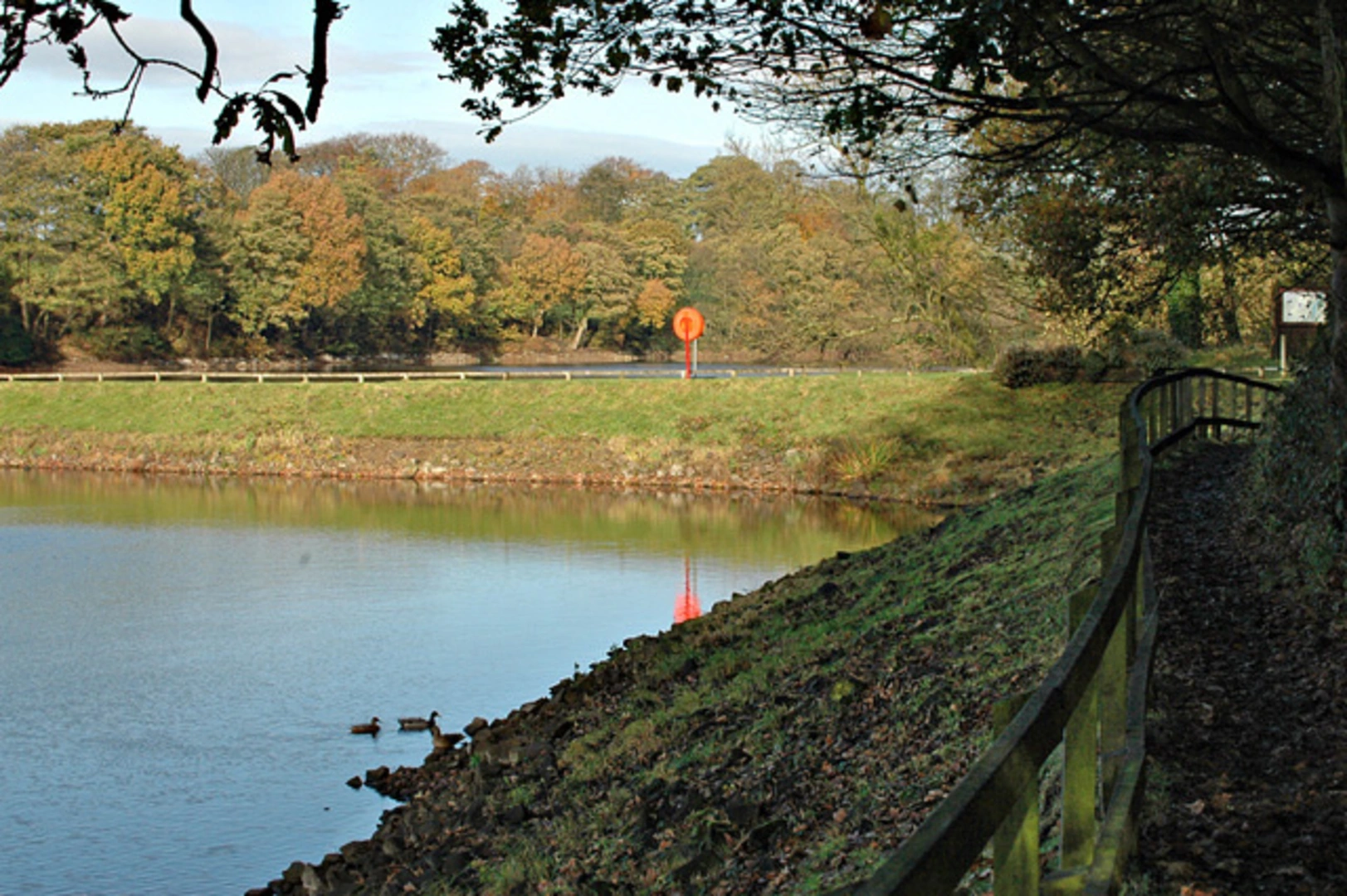 An image depicting the trail Worthington Reservoir, Arley Reservoir and Arley Wood Loop and its surrounding area.