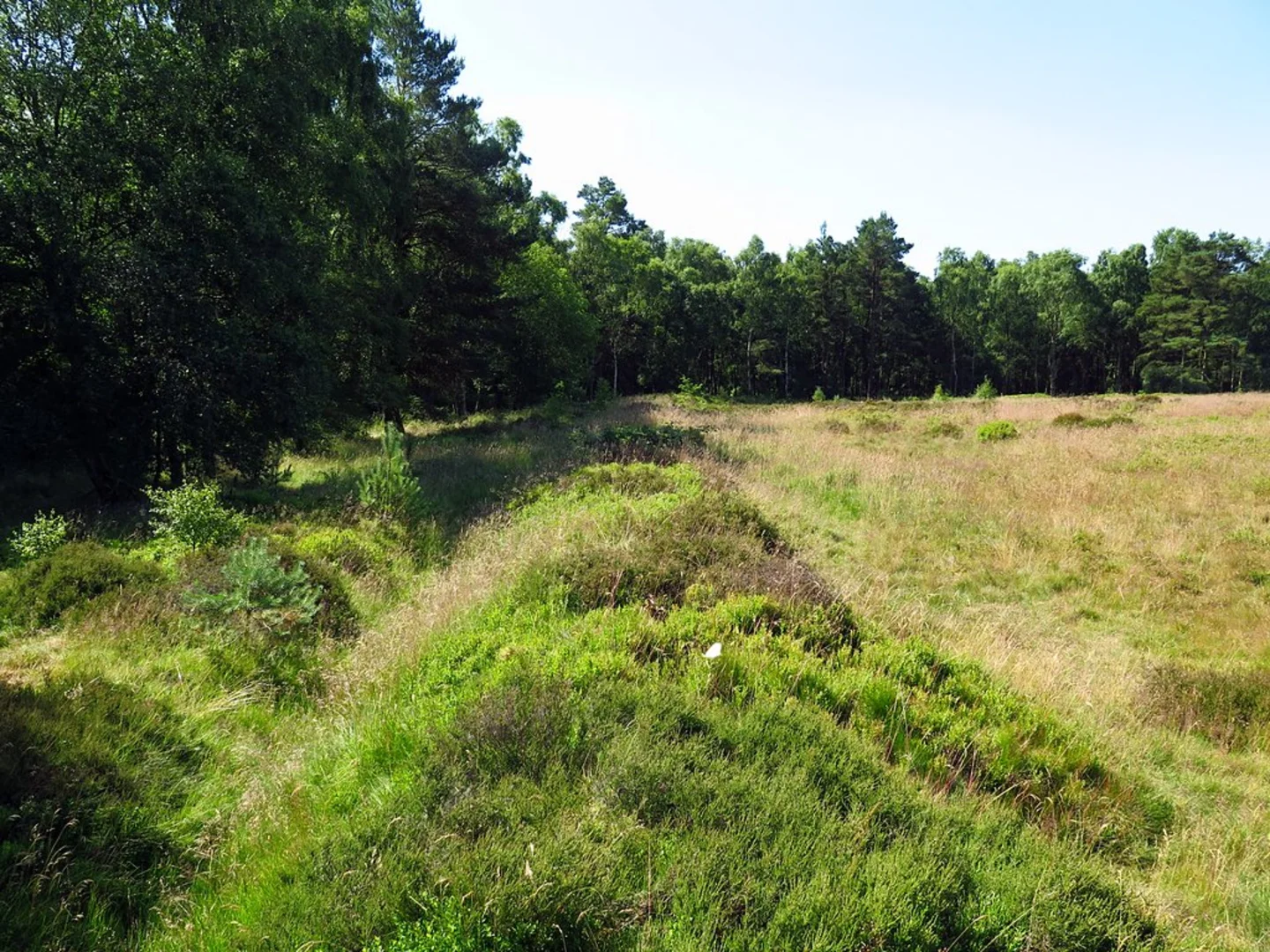 An image depicting the trail Cawthorne Roman Camp Circular and its surrounding area.