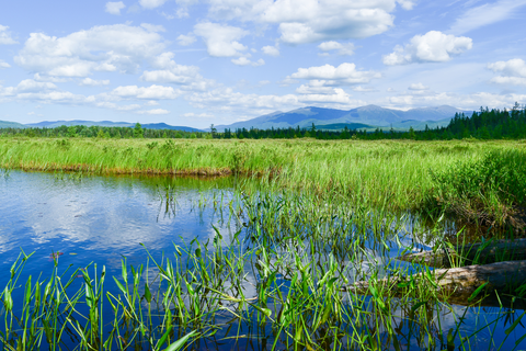 An image depicting the trail Owl's Head Trail to Mount Martha Trail and its surrounding area.