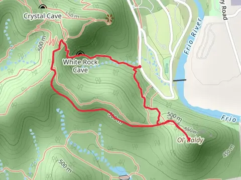 Ol' Baldy via Bird Trail and Foshee Loop Trail