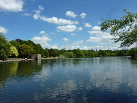An image depicting the trail Mote Park and its surrounding area.