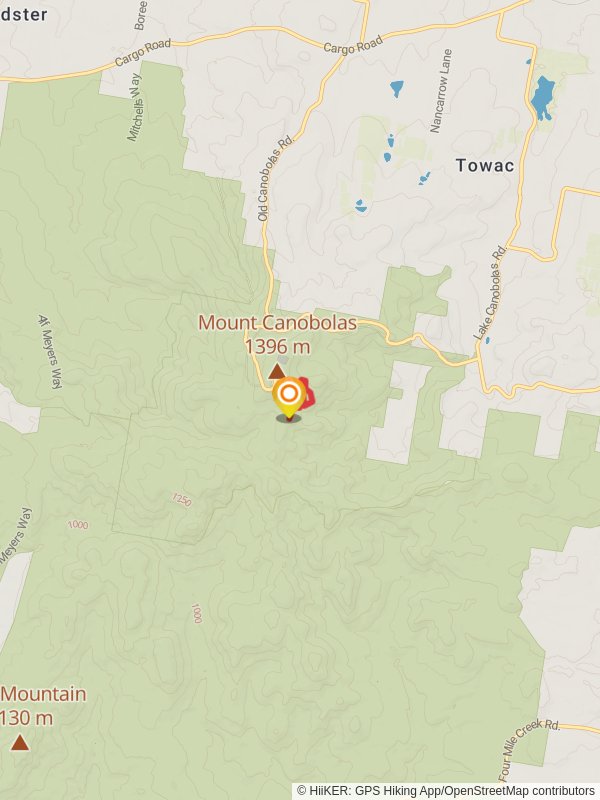 Nature Walking Track mobile static map