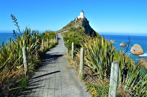 Nugget Point - Tokata