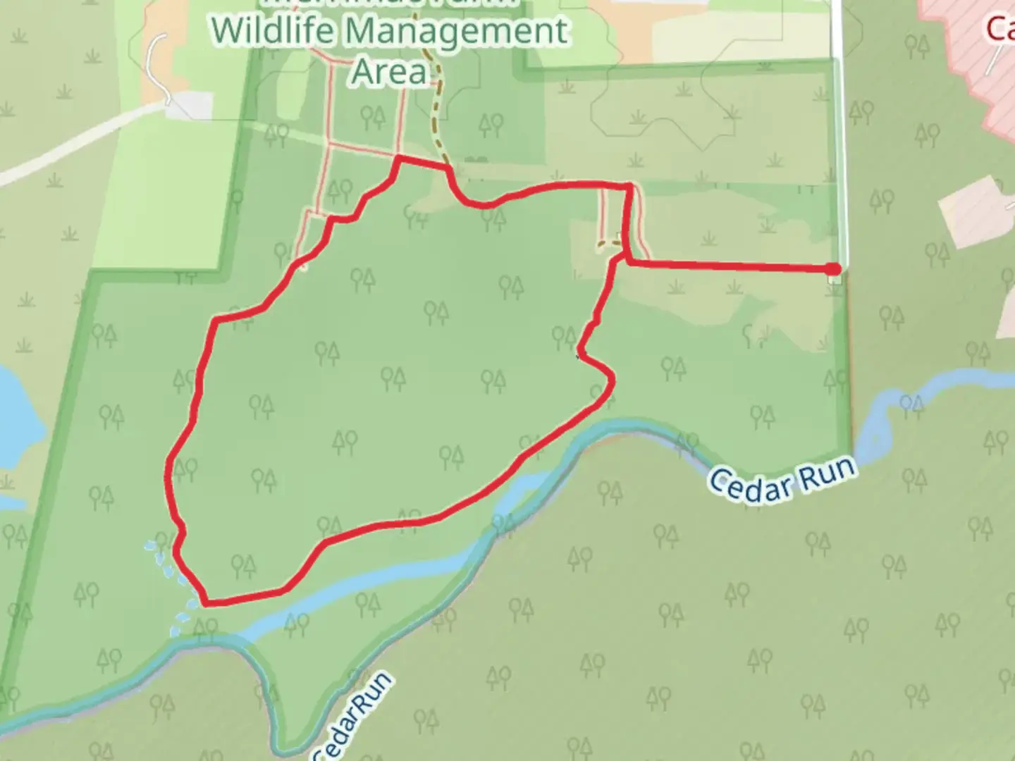 An image depicting the trail Bluebell Loop Trail and its surrounding area.