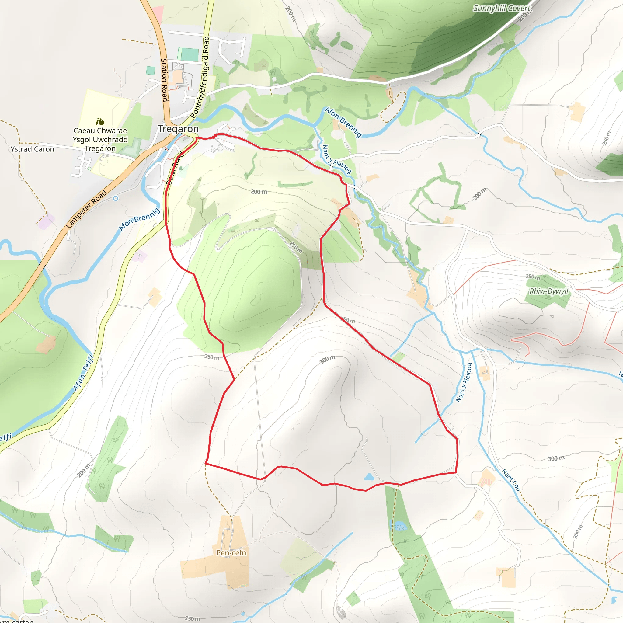 Twm Town from Tregaron mobile static map