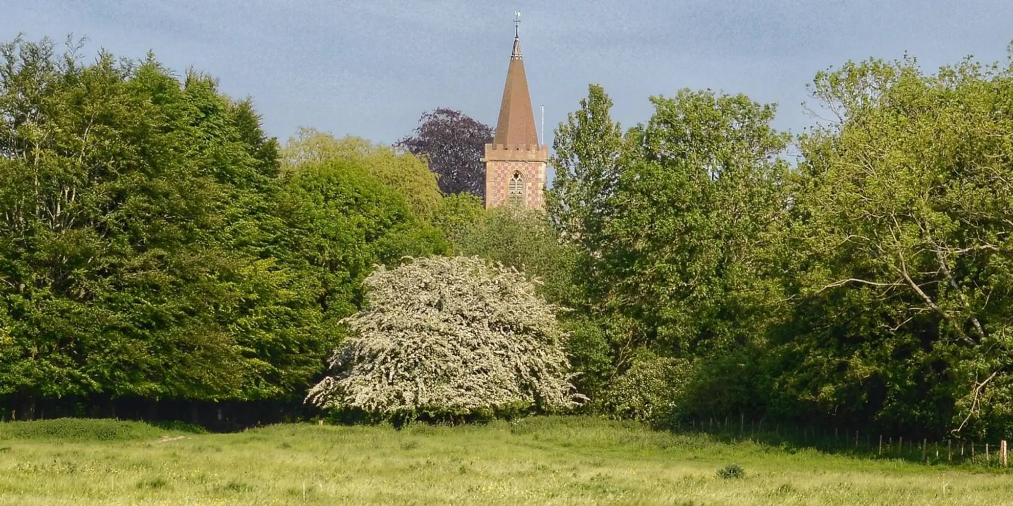 An image depicting the trail Cross Bucks Way and its surrounding area.