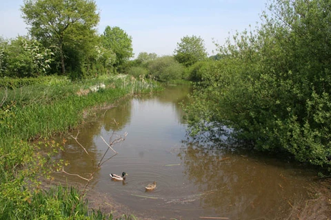 An image depicting the trail Cossall Walk and its surrounding area.