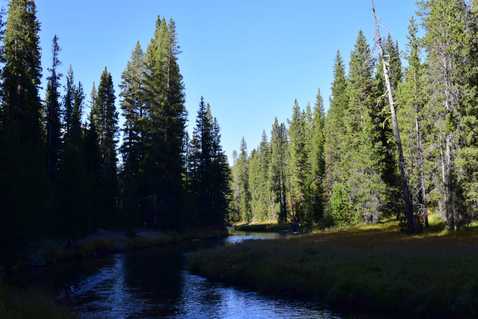 An image depicting the trail Lone Star Geyser Trail and its surrounding area.