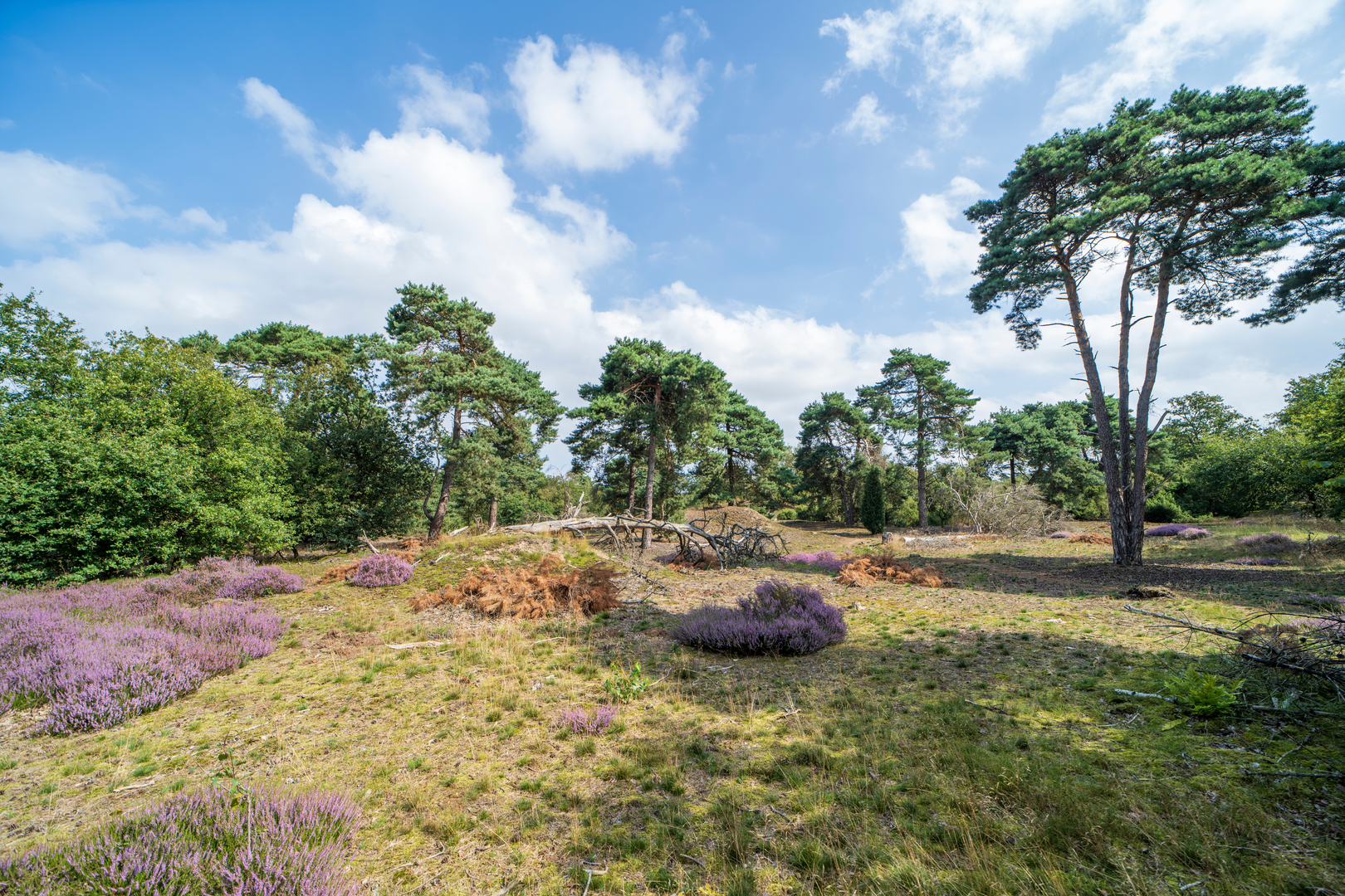 An image depicting the trail Swolgen to Kerk via Peddepoel and its surrounding area.