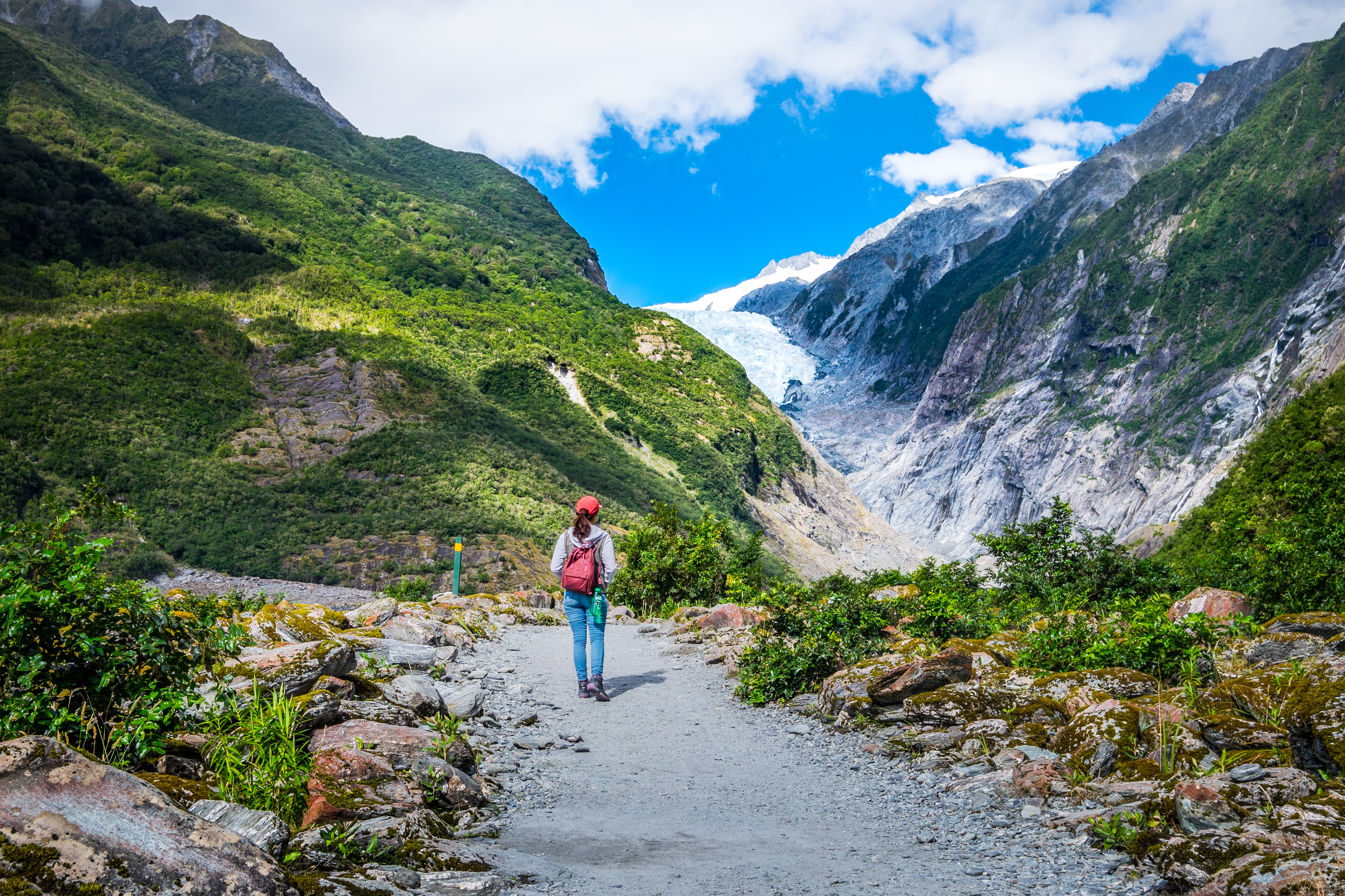 An image depicting the trail Westland / Tai Poutini National Park and its surrounding area.