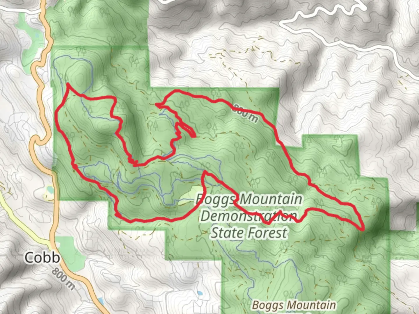 An image depicting the trail Boggs Mountain Demonstration State Forest Loop and its surrounding area.