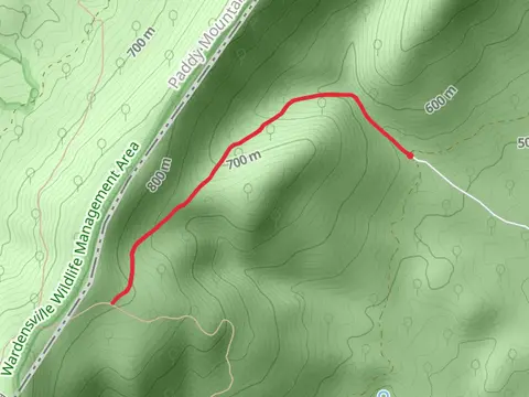 Sulphur Spring Gap Trail - SUgar Hill Road