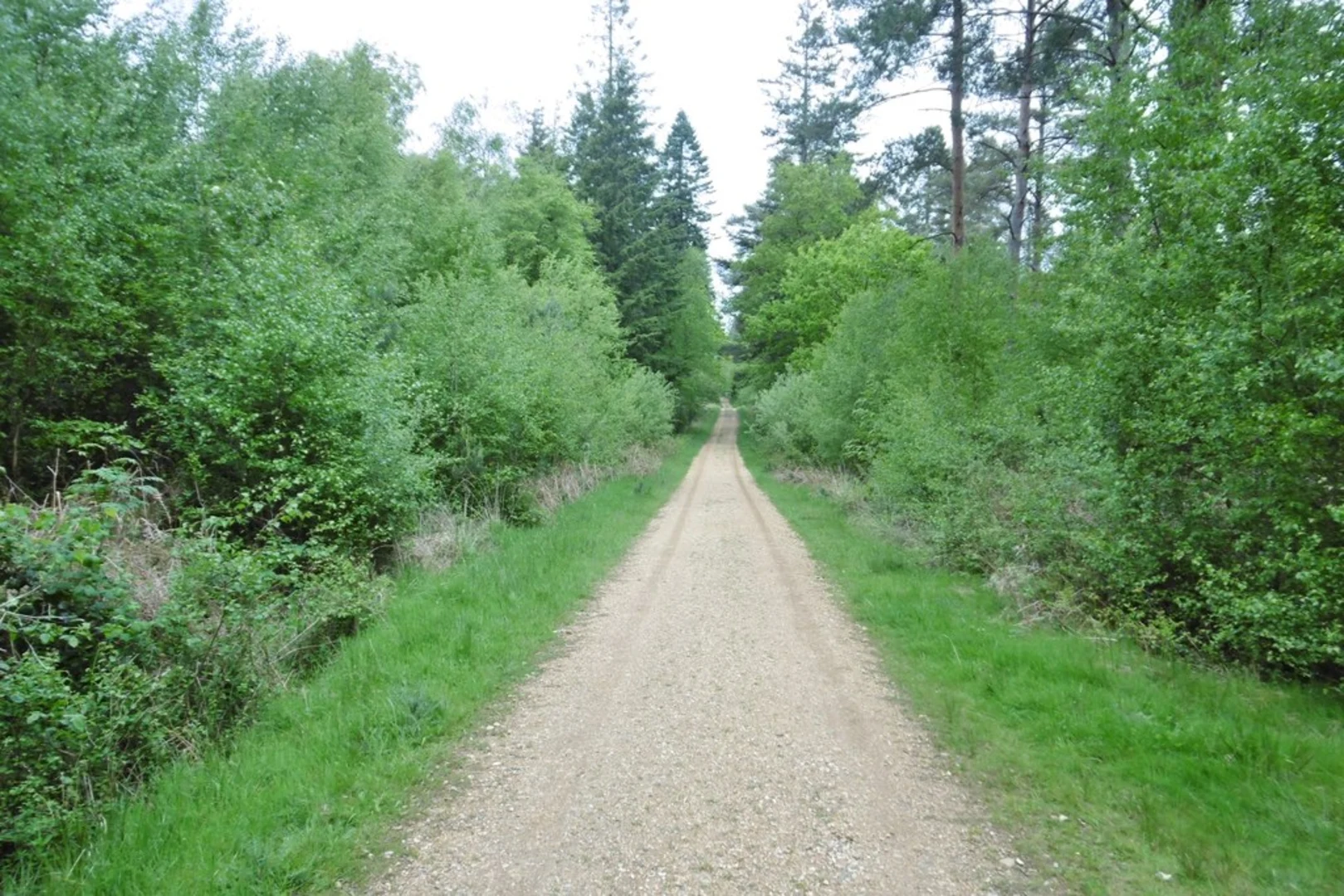 An image depicting the trail Little Manon and Longdown Enclosure Loop and its surrounding area.