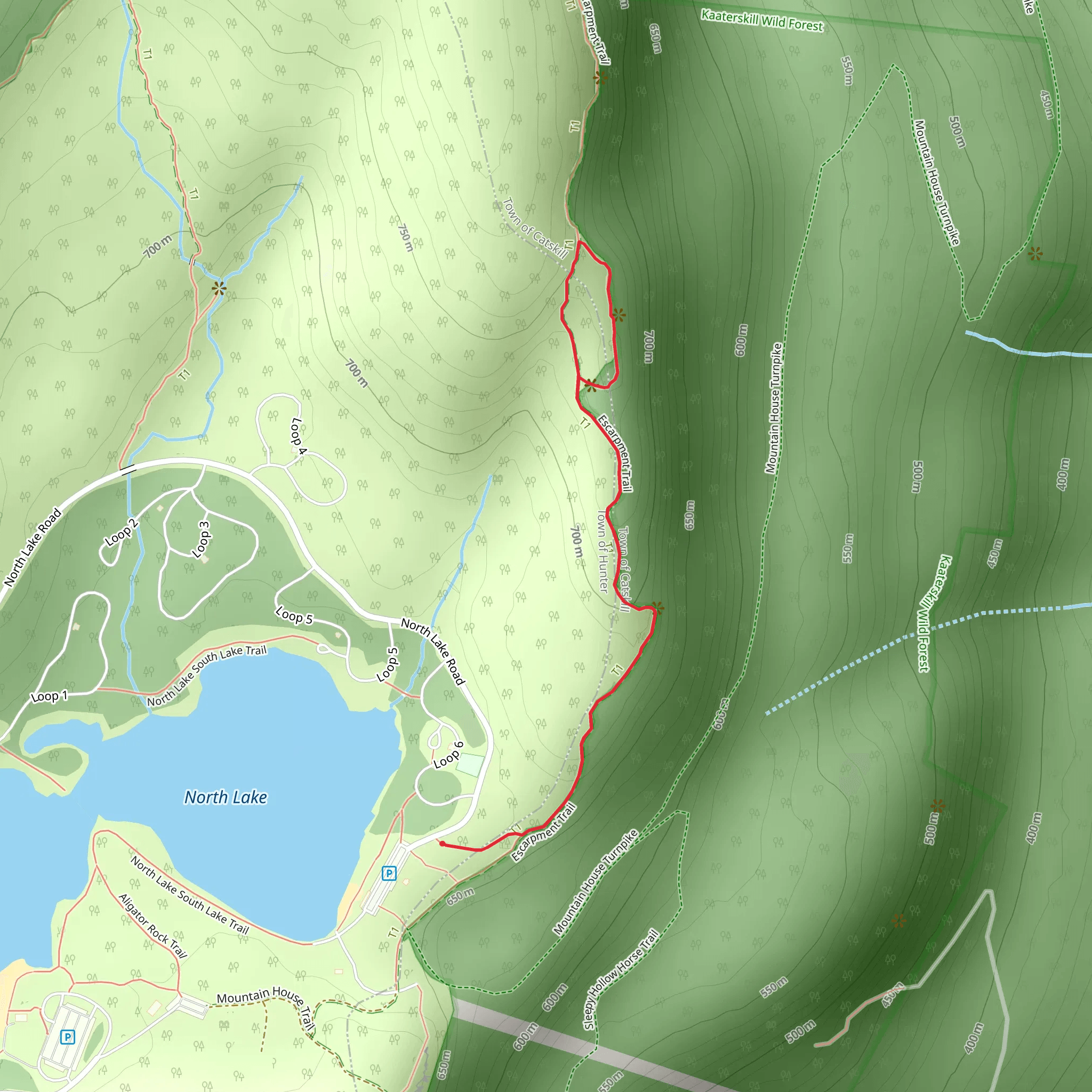 Artists Rock via Escarpment Trail mobile static map