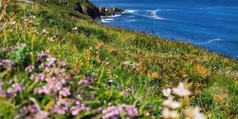 An image depicting the trail Lands End Youth Hostel - Sennen Cove and Land's End and its surrounding area.