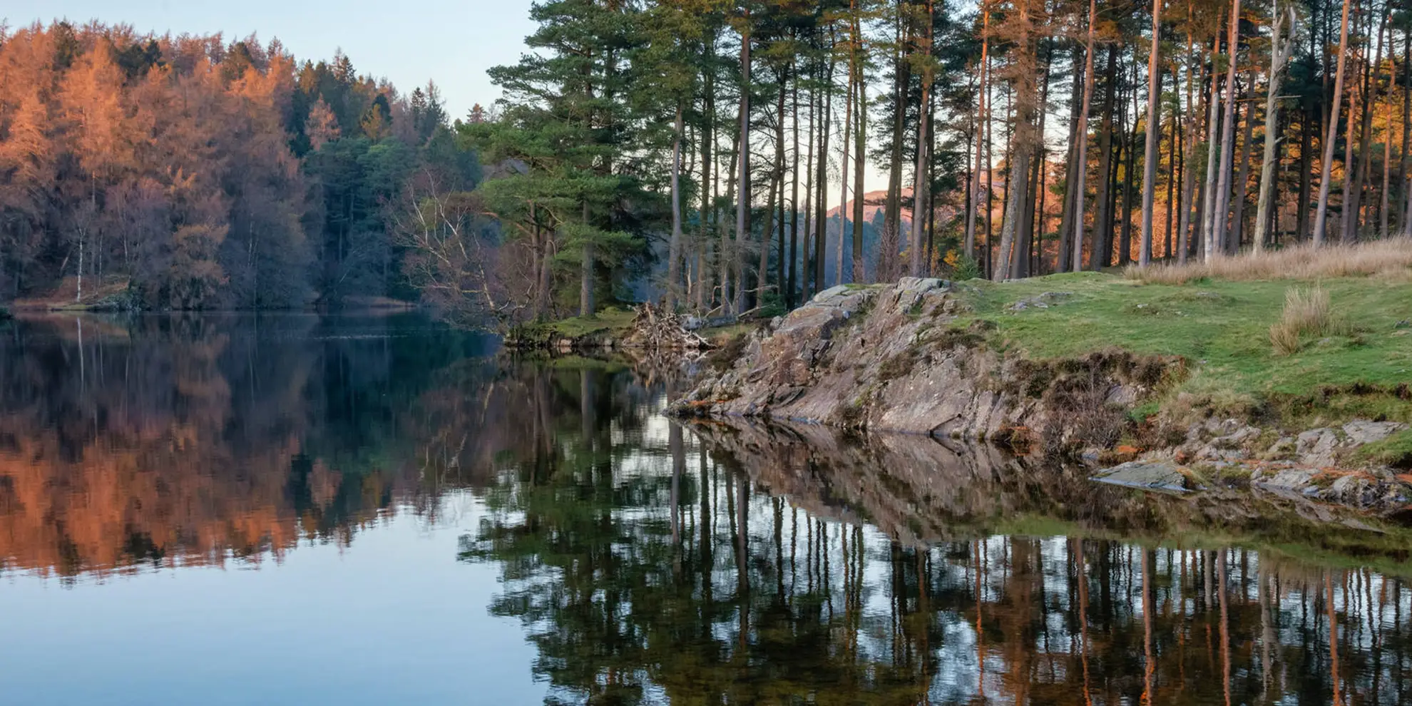 An image depicting the trail Tarn Hows Circular Walk and its surrounding area.