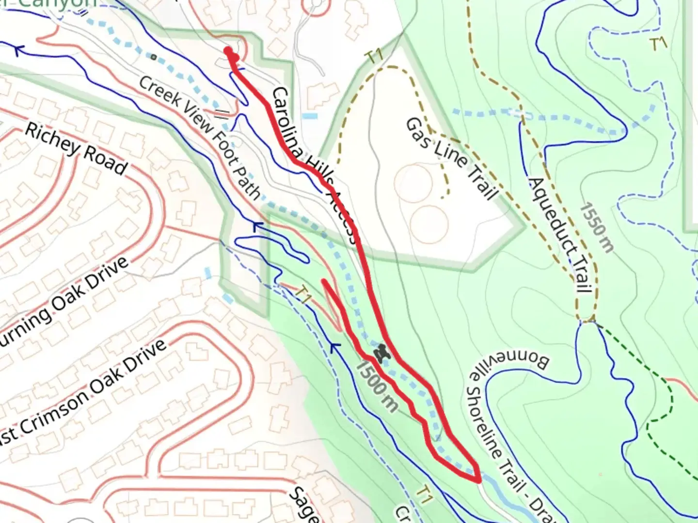 An image depicting the trail Jungle Trail and its surrounding area.