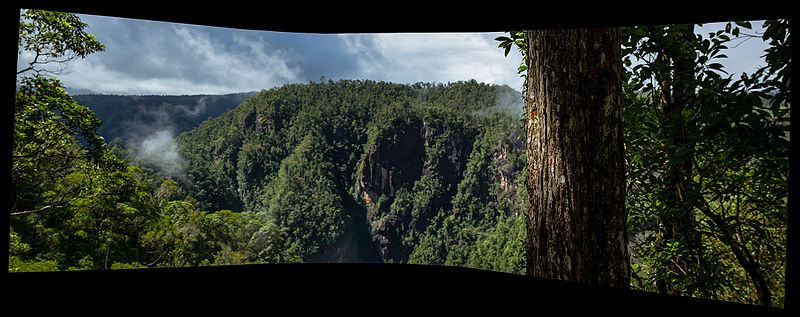An image depicting the trail Tully Gorge National Park and its surrounding area.