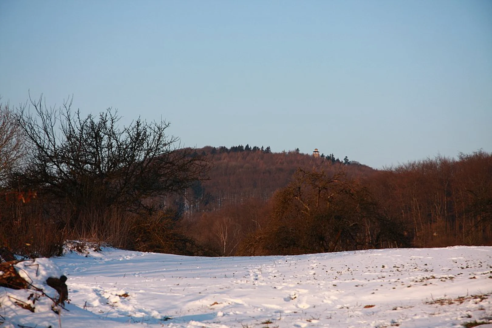 An image depicting the trail Waldsee, Rassel and Kellerskopf Loop via Loop via Theital Forelle and its surrounding area.
