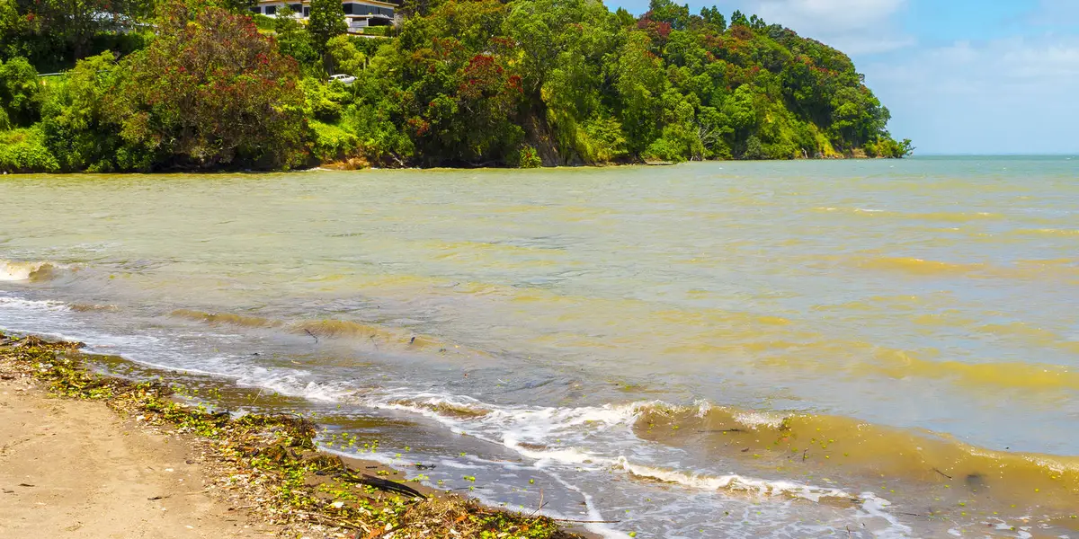 Titirangi Beach via Zig Zag Trail