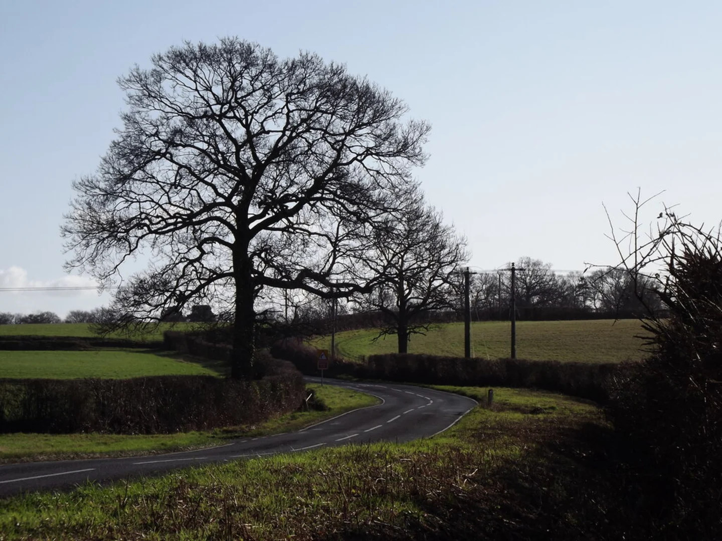 An image depicting the trail Sandy Hill and Willinghurst Fishery Loop and its surrounding area.