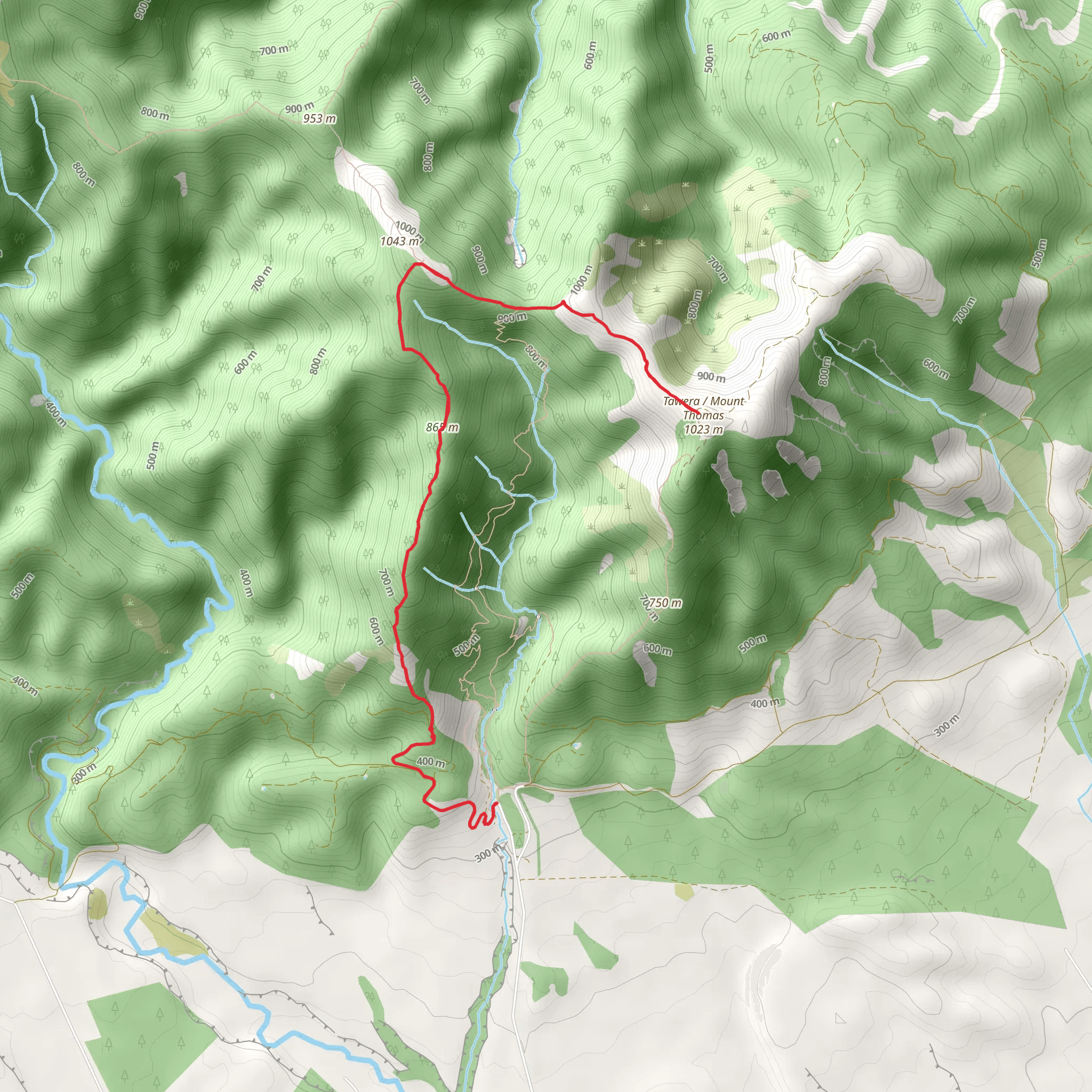 Mt Thomas - Ridge Track mobile static map