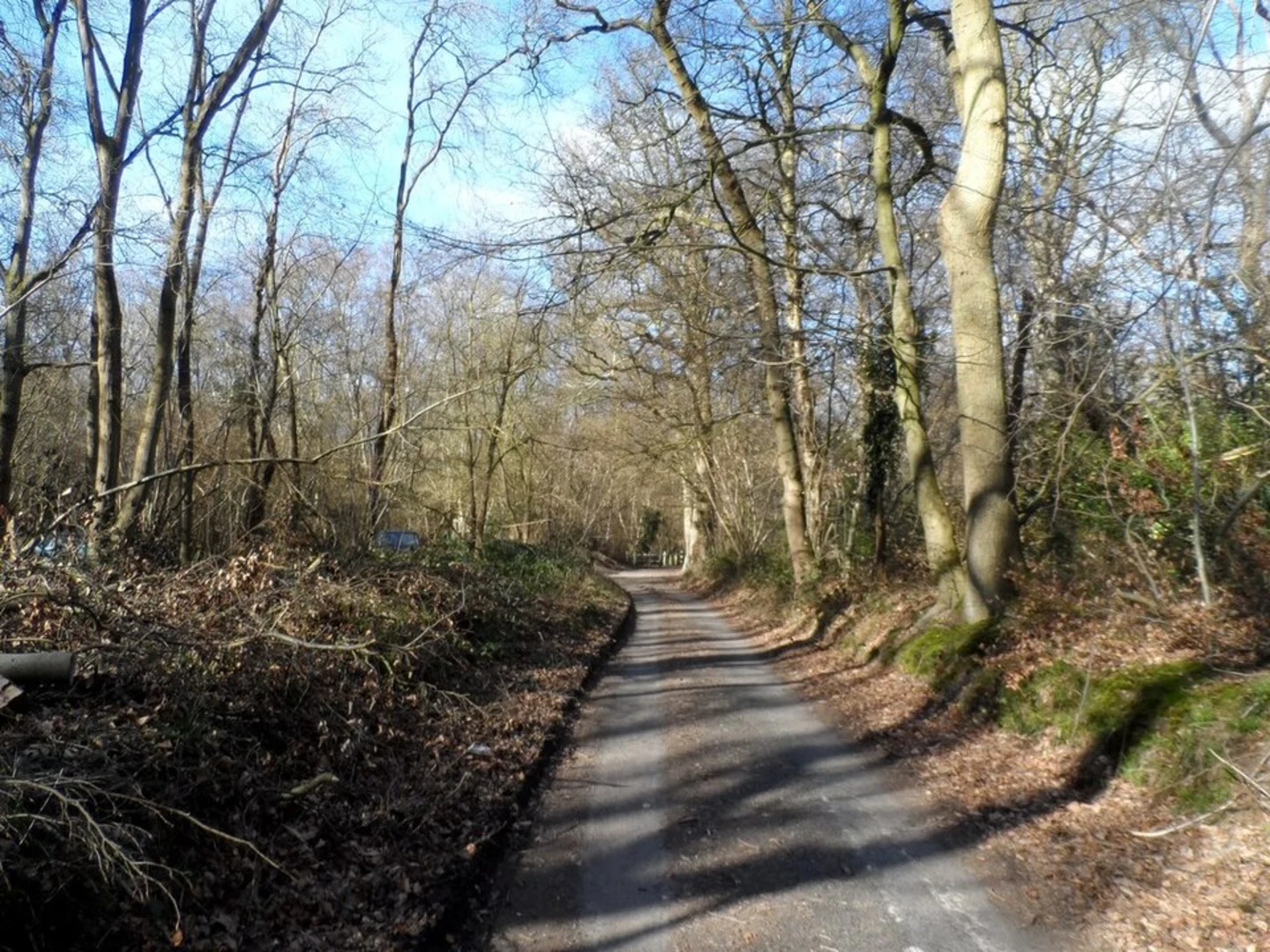 An image depicting the trail Whippendell Woods and its surrounding area.