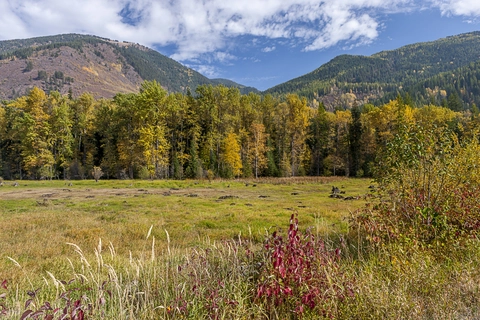 An image depicting the trail Noisy Creek Trail and its surrounding area.
