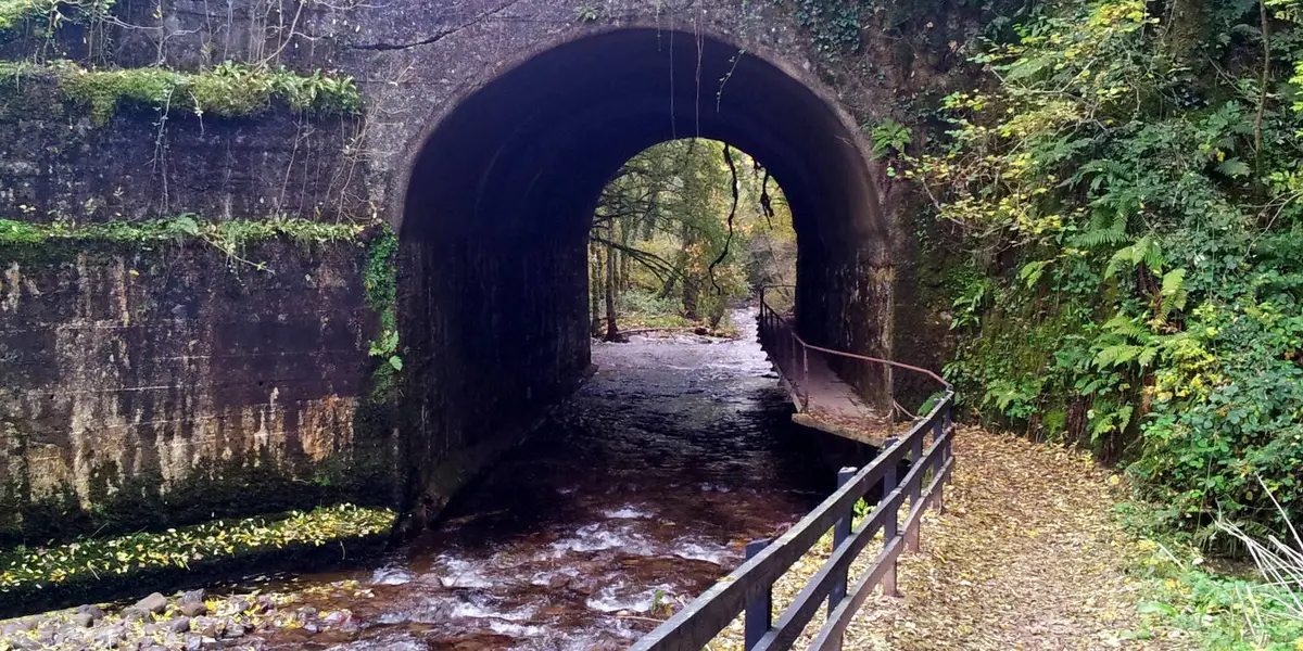 Glenshelane - Blue Trail